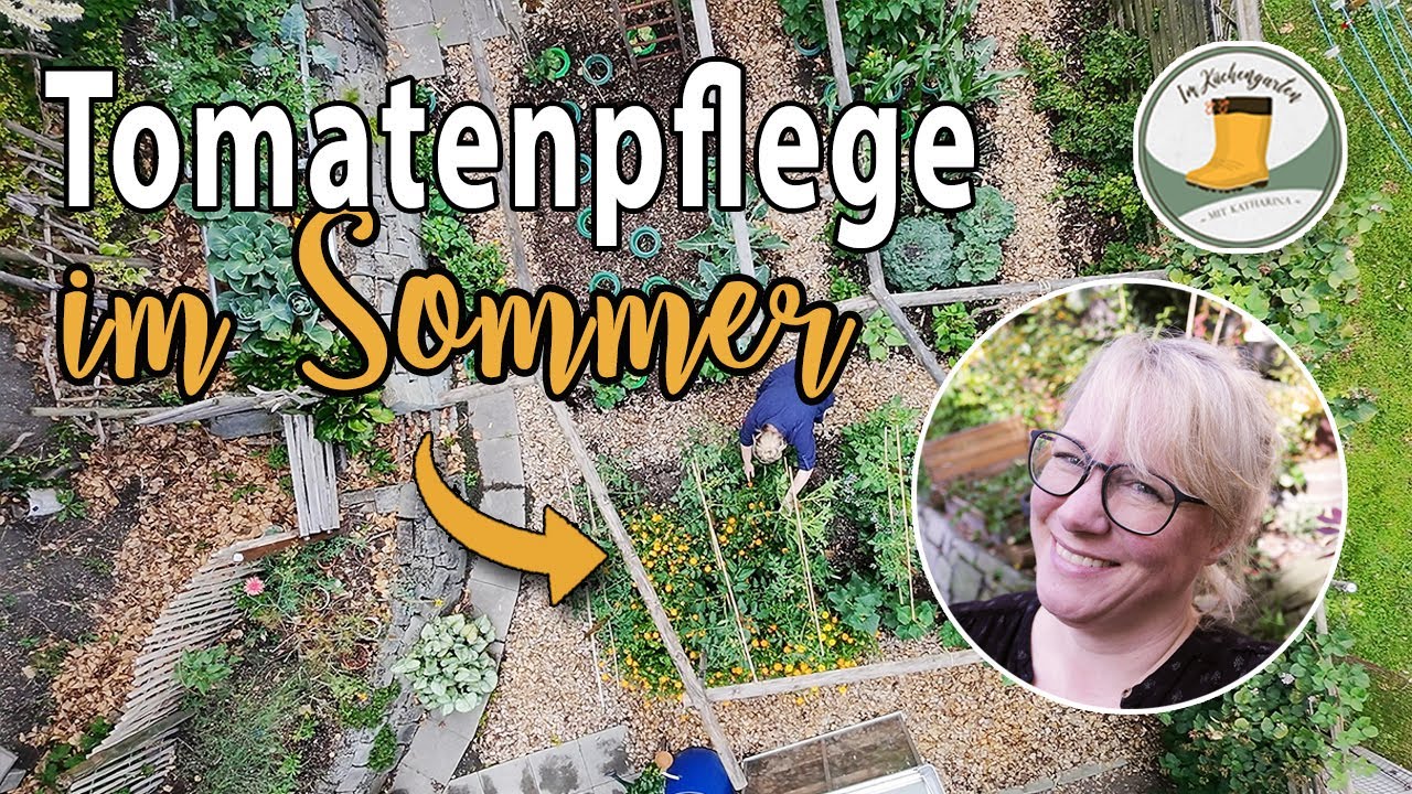 ☝🏼 So pflege ich meine 🍅 Tomaten im ☀️ Sommer für maximalen Ertrag