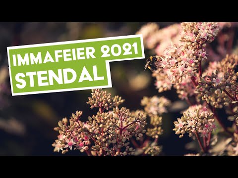 Feierliche Immatrikulation 2021 // Stendal