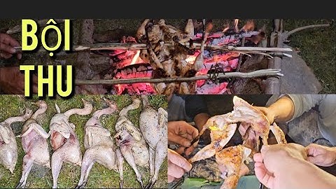 SĂN GÀ RỪNG NGHỦ ĐÊM- BỘI THU NGOÀI DỰ KIẾN,NẤU ĂN NGAY TẠI RỪNG.