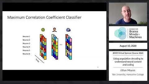 Using population decoding to understand neural content and coding