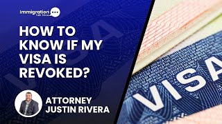 How can Visa Holders Know That Their Visas Have Been Revoked?
