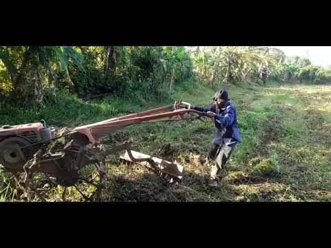 Video: Bagaimana cara membajak kebun dengan traktor?