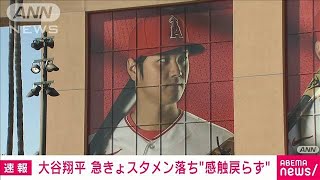 大谷翔平 “感触戻らず”急きょ先発外れる　8試合連続欠場へ(2023年9月12日)