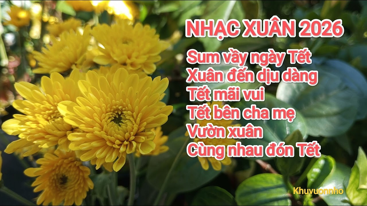 Nhạc xuân 2026 - Sum vầy ngày Tết 