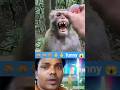 Bandar ka Dentist Checkup 😂🐒 | Funny Comedy Shorts