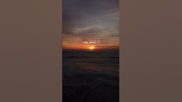 تلاوة خاشعة للشيخ محمد صديق المنشاوي #قرآن #foryou #قران #المنشاوي #راحة_نفسية #تلاوة_خاشعة