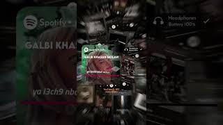 Cheba Werda Galbi Khasah Molah قلبي خصه مولاه         