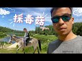 尋菇之旅:毒菇沒見著,馬卻來湊熱鬧!🍄🐎