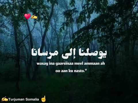 دين الإسلام سلام