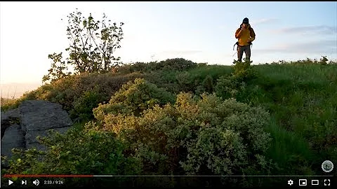 Conservation and Active Management in the Roan Hig...