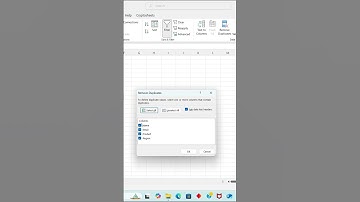 Remove Duplicates in Excel | Clean Your Data Quickly!