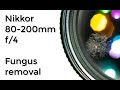 Nikon Nikkor 80-200 f/4 : fungus cleaning : Lens repair