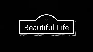 Bebe Rexha - Beautiful Life [Full Lyrics Song]