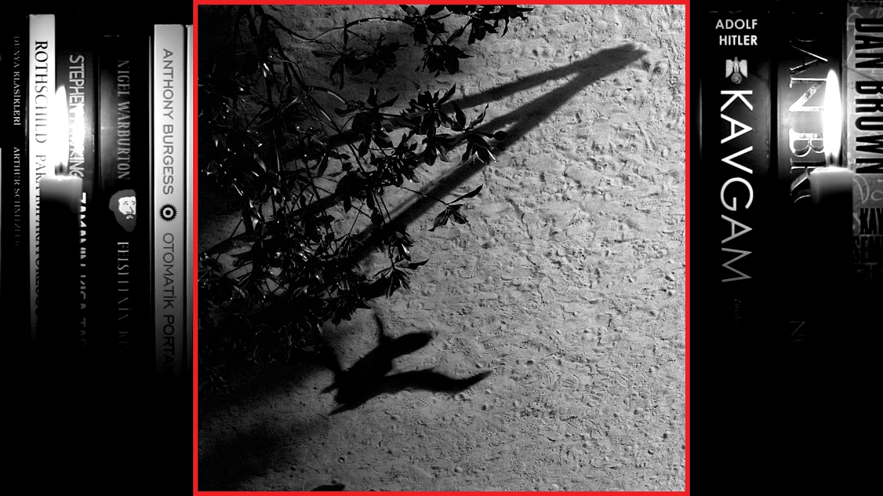 Max Richter - The Blue Notebooks (Full Album) 2004