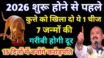 2026 साल शुरू होने से पहले कुत्ते को खिला दो यह 1 चीज़,आपकी 7 जन्मो की गरीबी होगी दूर#pradeepmishra
