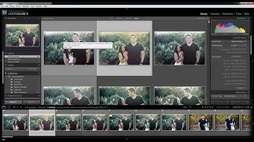 Lightroom 3 Library Module View Modes