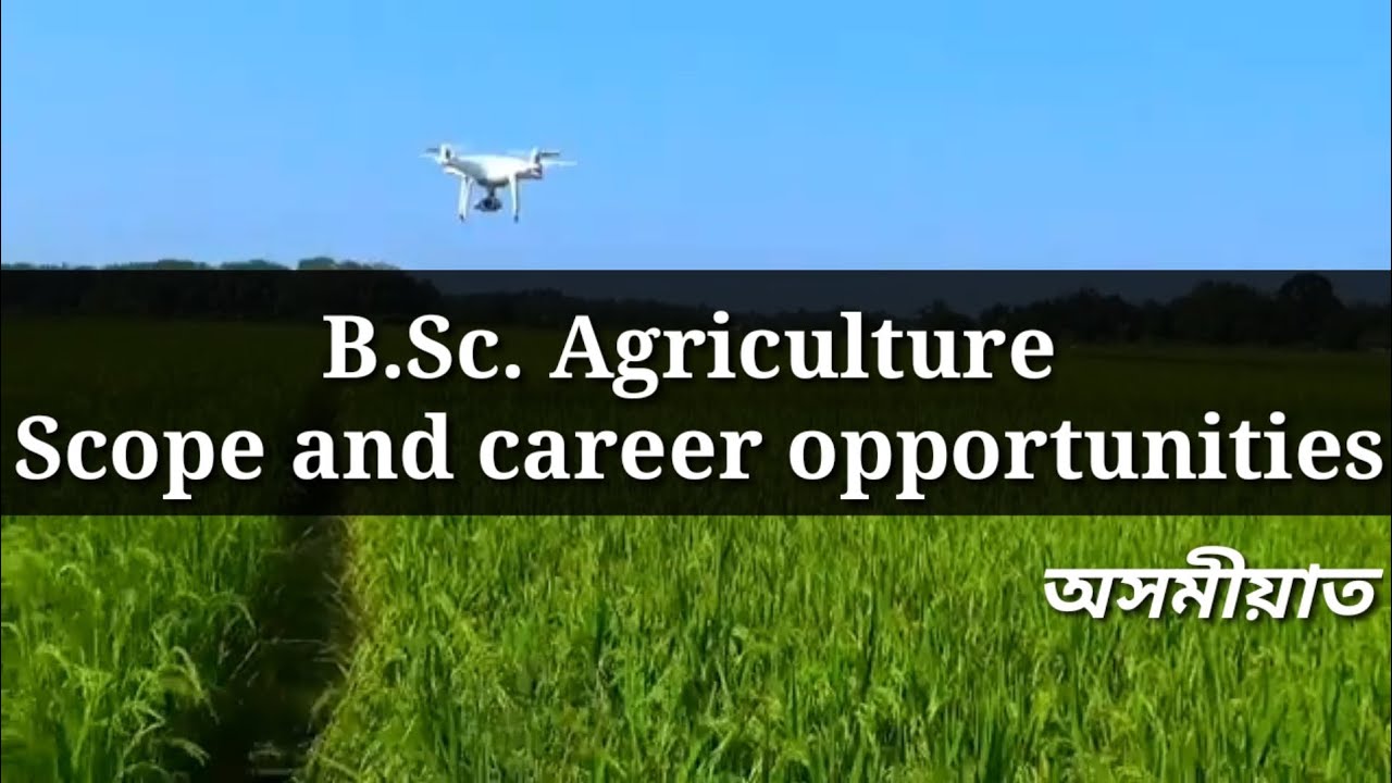 BSc Agriculture Scope and career opportunities | government and private ...
