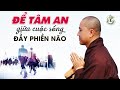 Làm sao giữ được TÂM AN LẠC giữa cuộc đời đầy Phiền Não - Vấn Đáp Thầy Thích Pháp Hòa