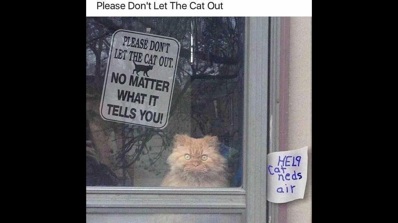 Super Funny Memes That Will Make You Laugh