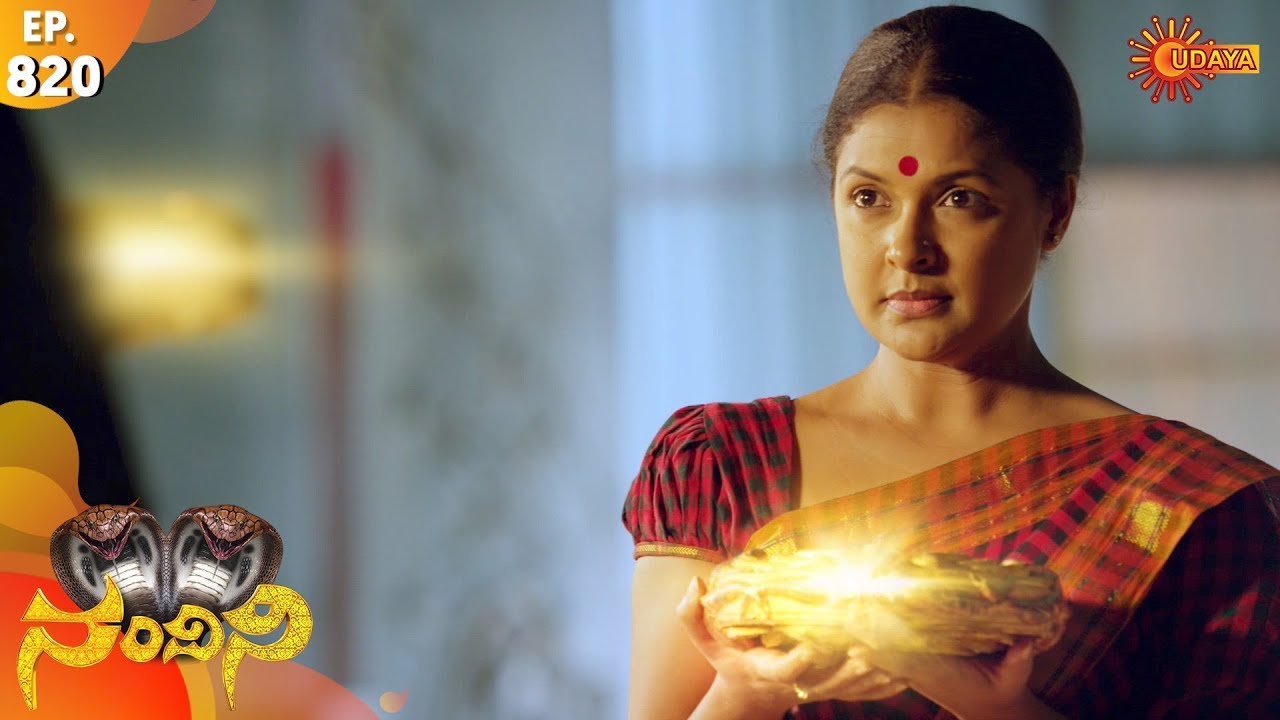 Nandini - Episode 820 | 14th Dec 19 | Udaya TV Serial | Kannada Serial