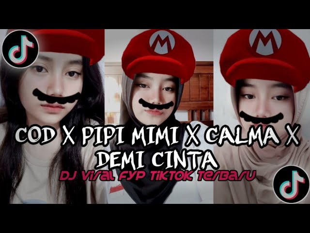 DJ Cod x Pipi Mimi x Calma x Demi Cinta Yang Menyala (Slowed + Reverb)‼️FYP TIKTOK MENGKANE class=