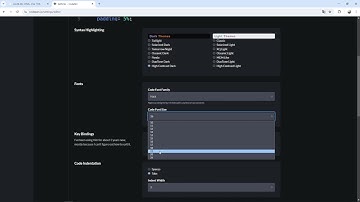 24 08 09, HTML, CSS 강좌, 3강, 코드펜 세팅 설명
