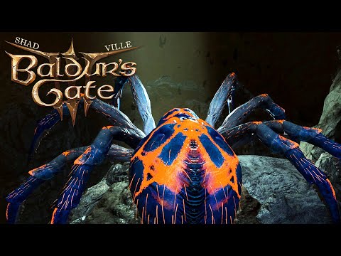 Фазовый паук-матриарх ⚔ Baldur's Gate 3 Прохождение игры #6