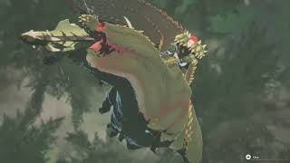 Deviljho Kinship