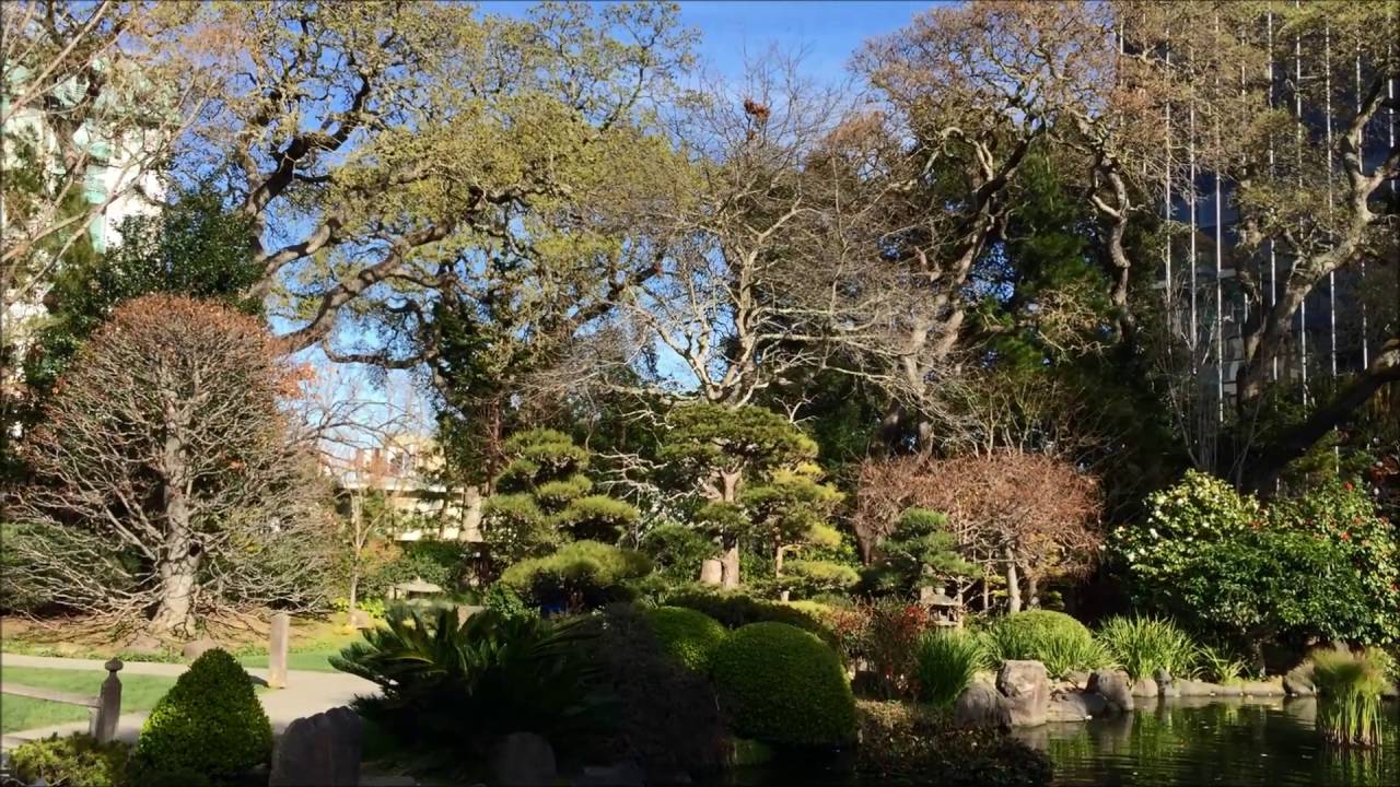 San Mateo Japanese Garden Youtube