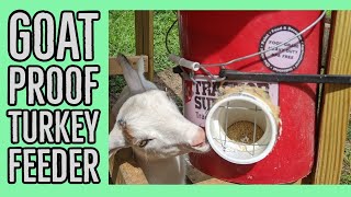 automatic turkey feeder