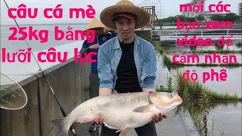 Câu Cá Mè Bằng Lưỡi Câu Lục | Cá Mè Khủng