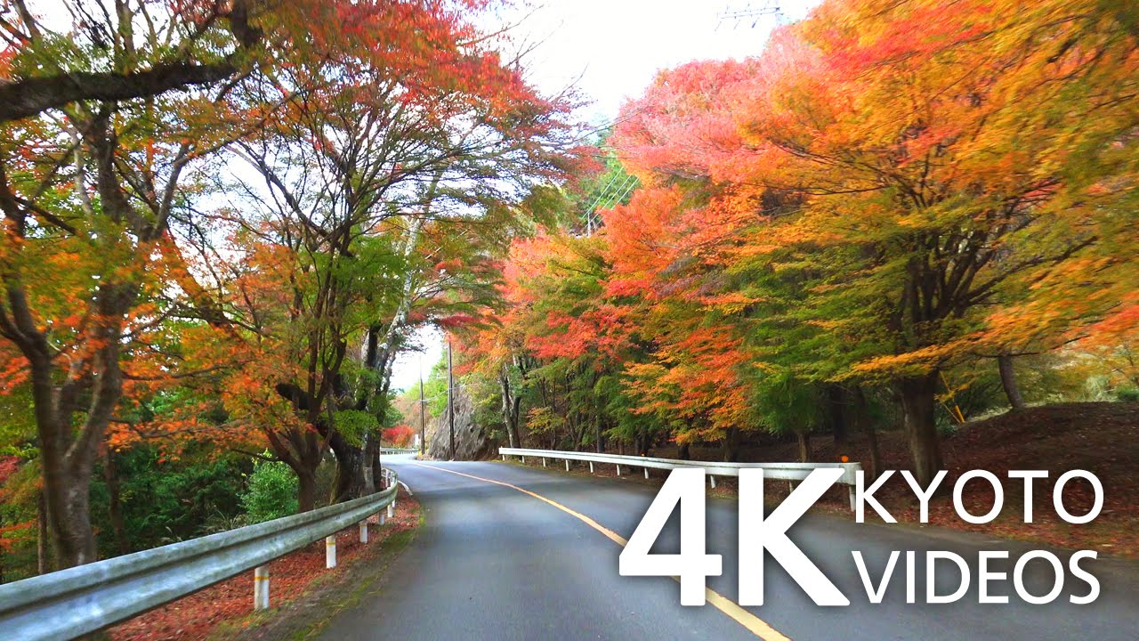 京都 嵐山 高雄の紅葉風景 Kyoto Japan 4k 動画 Arashiyama Autumn Leaves Fdr Ax100 Youtube