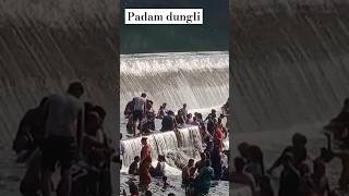 Padam Dungli🥰
