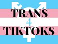 how are there so many of these (trans tiktoks 4)