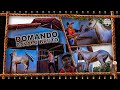 Domando Cavalo Bruto -Doma Racional- 1ª Parte