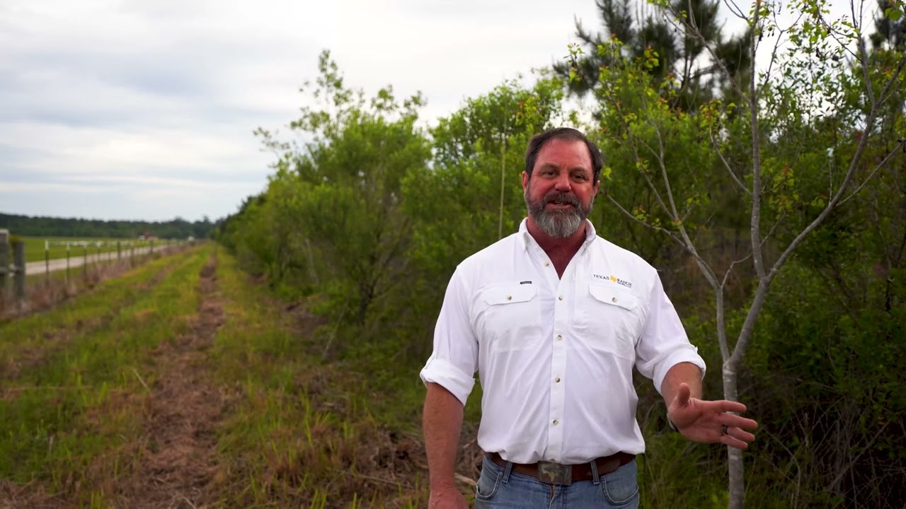 Texas Ranch Sales - Stonewood Ranch - 45 +/- acres - Jefferson County Texas