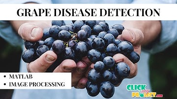 Matlab image Processing Projects - Grape Disease Detection - ClickMyProject
