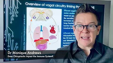 Connecting the Immune System and the Nervous System