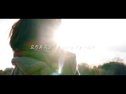 立ち耳スコティッシュフォールド ｢昔の写真｣ Music Video