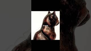 Send This Video To Your Friend.