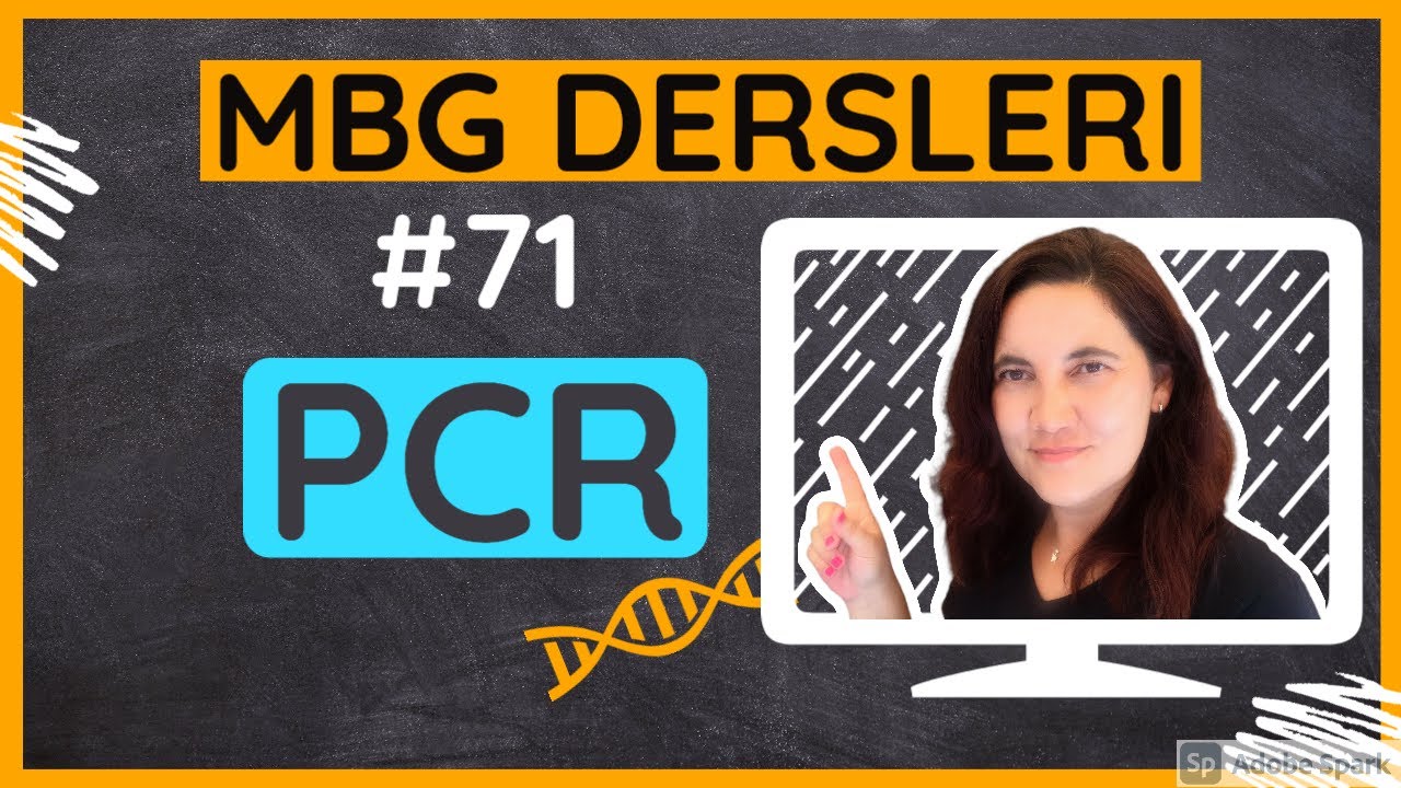 #71: PCR Moleküler Biyoloji ve Genetik Dersleri