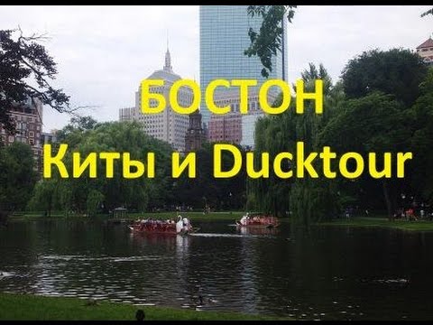 Необычные экскурсии в Бостоне - Whale watching и DuckTour