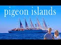 Windstar wind surf cruise review pigeon island  cruise ship review 2024 365sol