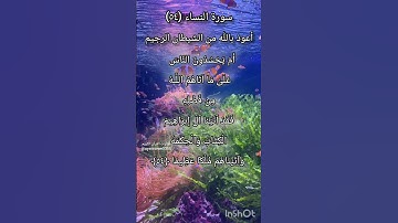 سورة النساء الآية ٥٤