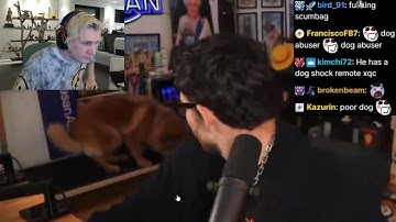 xQc Reacts to Hasan Abusing his Dog on Stream by Activating Shock Collar for Leaving Bed