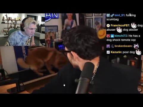 xQc Reacts to Hasan Abusing his Dog on Stream by Activating Shock Collar for Leaving Bed