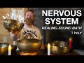 Parasympathetic nervous system healing music  tibetan bowl sound bath