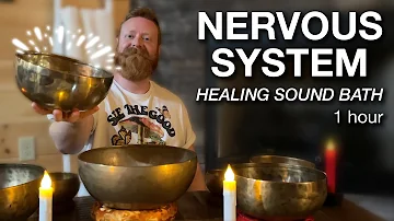 Parasympathetic Nervous System Healing Music | Tibetan Bowl Sound Bath