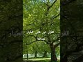 اناشيد دينيه الهي انت تعلم كيف حالي تحت الصفر اناشيد دينيه الهي انت تعلم كيف حالي تحت الصفر