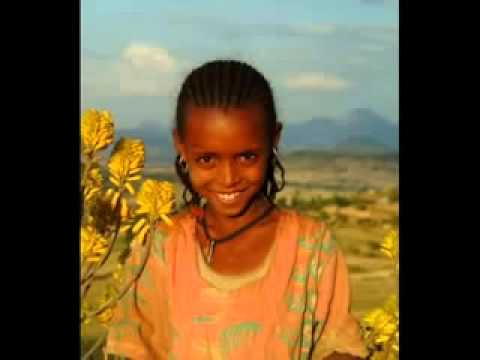 ቪዲዮ: የሎሚ ሙርታርን በሲሚንቶ እንደገና መጥቀስ ይቻላል?